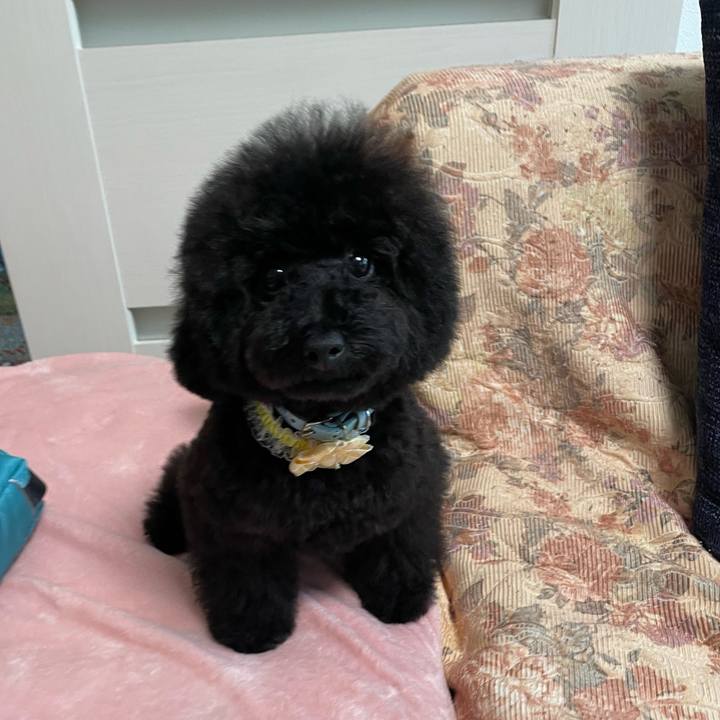 9767cf29 e45f 4dca 9251 0f368d38e70e 1683428368383