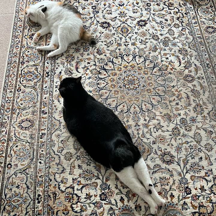 9768116b 9eb6 457f 9831 f4acdcfb27b3 1761345855516