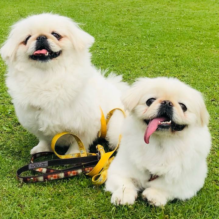 97682fcc 4db6 4710 aea4 1d596d914288 1621662681371