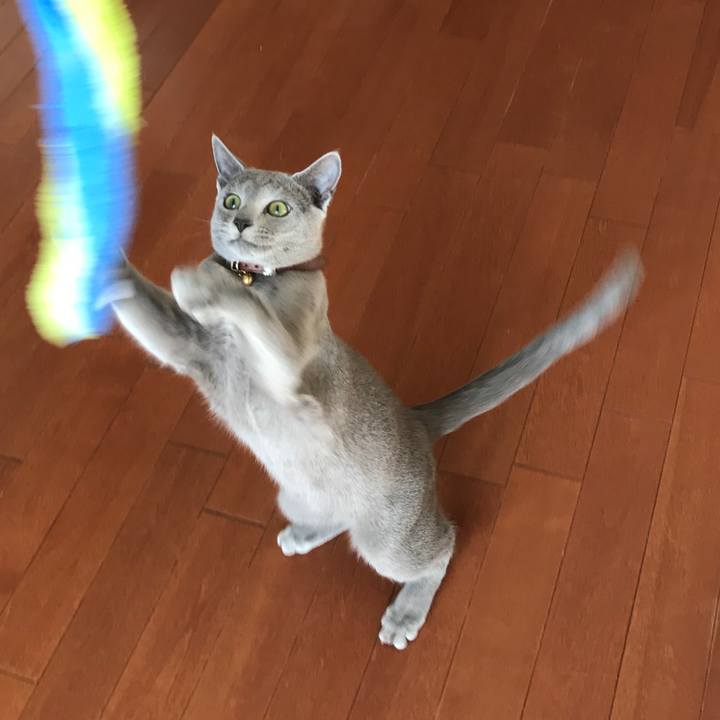 97685b20 ffef 4569 95d0 2a6a157fe39d 1518407495246