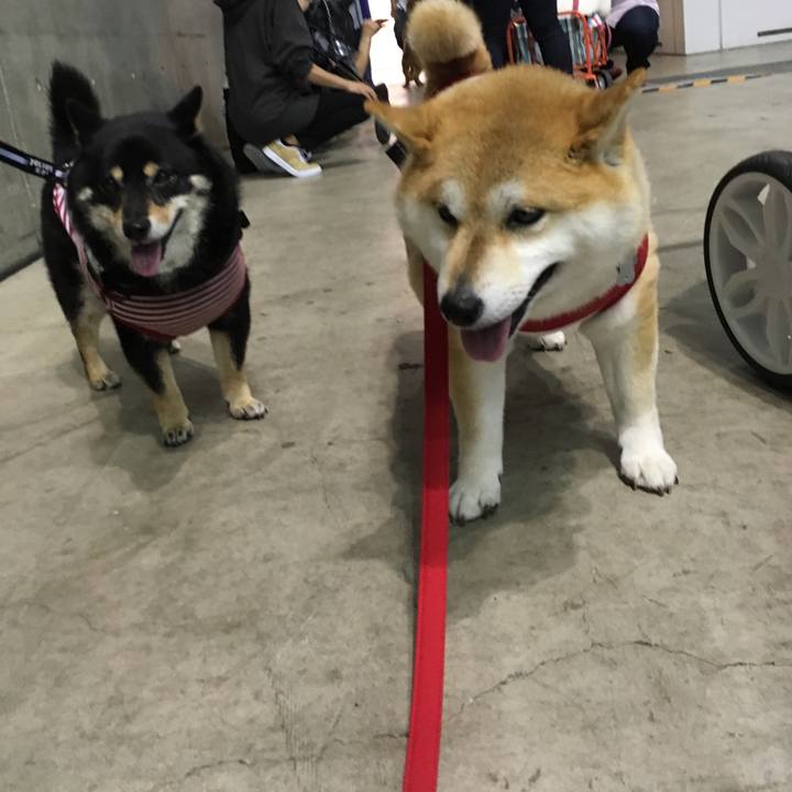 97689b02 45f2 4960 b06c 43bf0e0103b1 1556872987109