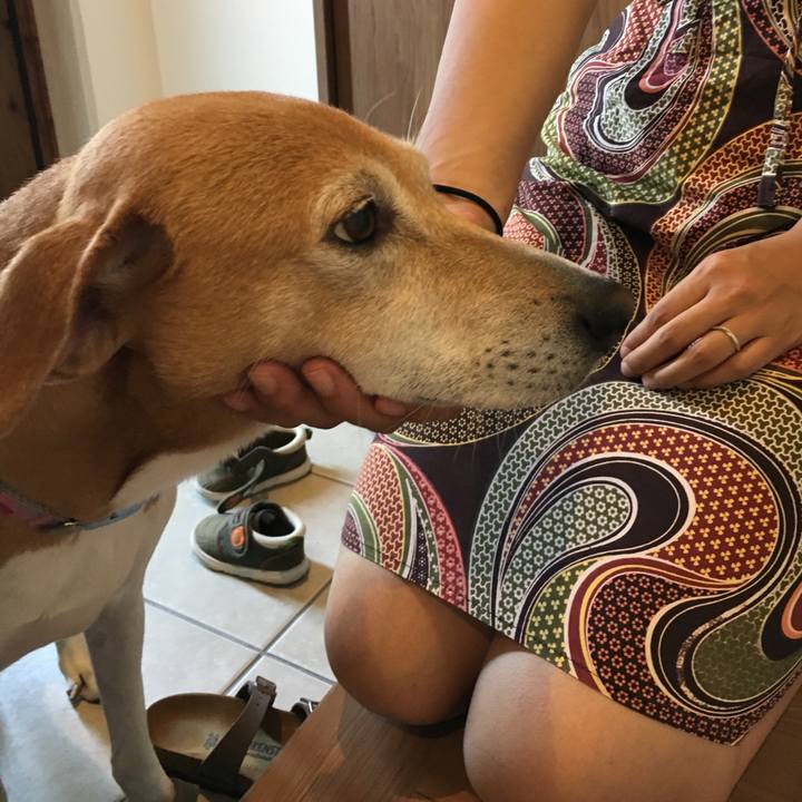 9768d4ae 586c 41a9 82c2 6eb5c69c51b8 1533266483358