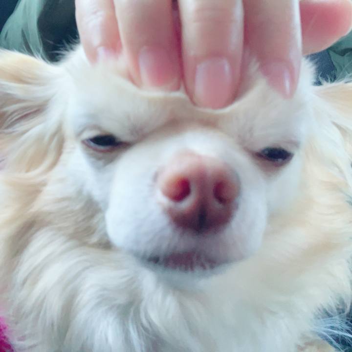 97690367 5bea 47dd a795 8bd40cdc8e98 1740213318815