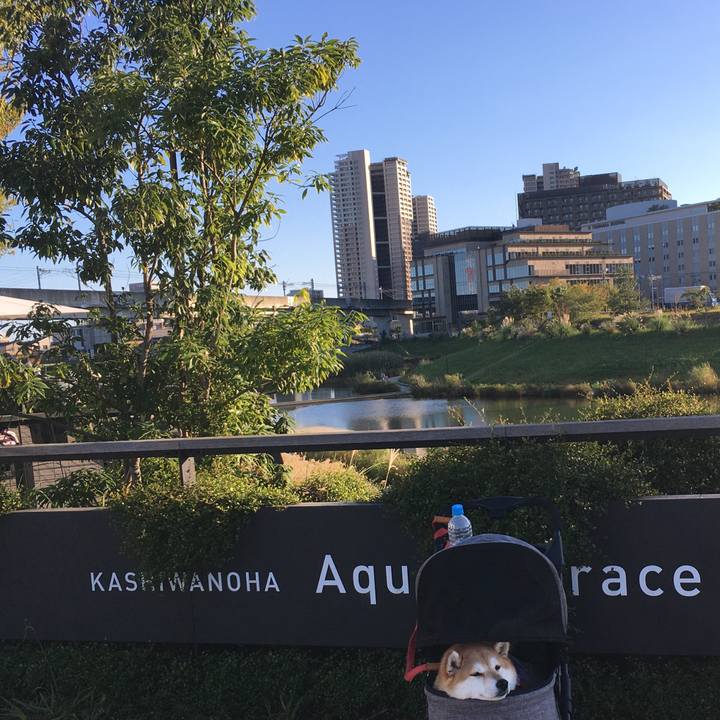 976938ac 7180 4d26 8b56 44a805328e61 1603608565753