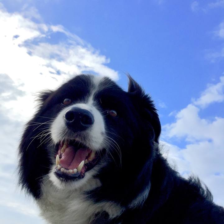 9769a520 4a95 4d48 accd 45b2c2233128 1562888390867