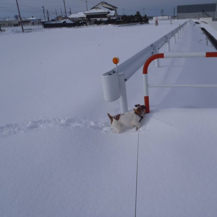 9769a5ba 50d9 4585 b730 2cf6babaa101 1517303950063