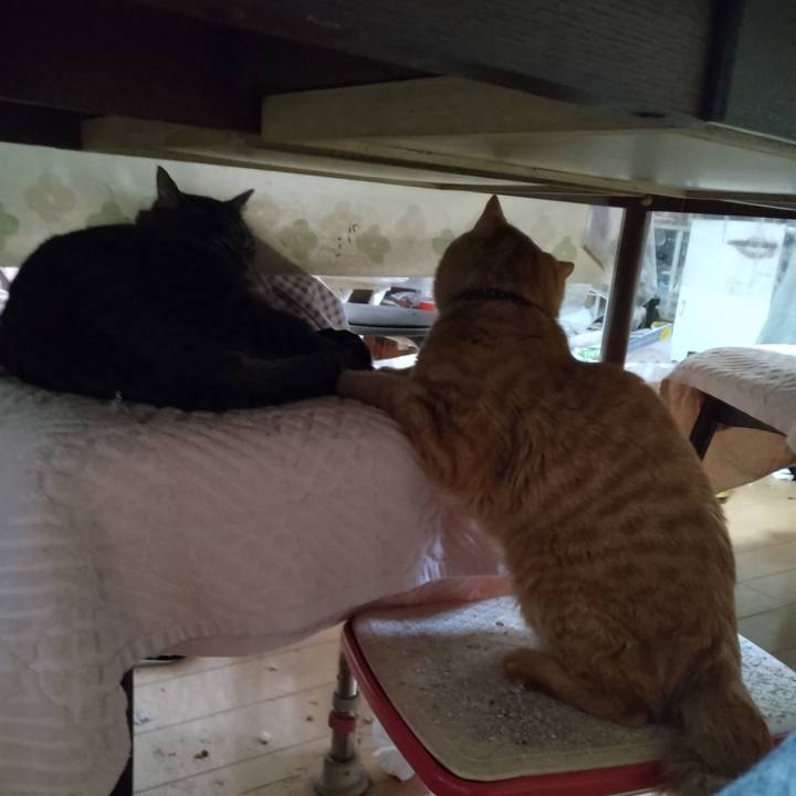 976a4d1c 9a24 4ddb bbec a3c101ef133f 1667864105382