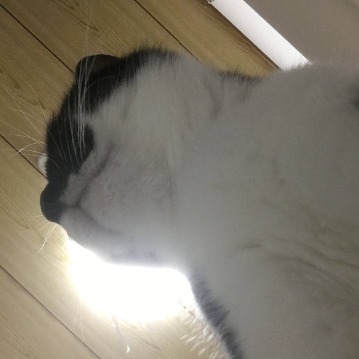 976a56d2 1348 4d6b a9bf 160468c5279a 1527857155749