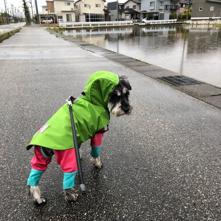 976a7eda 4924 40e1 9445 e11602411581 1651357848443