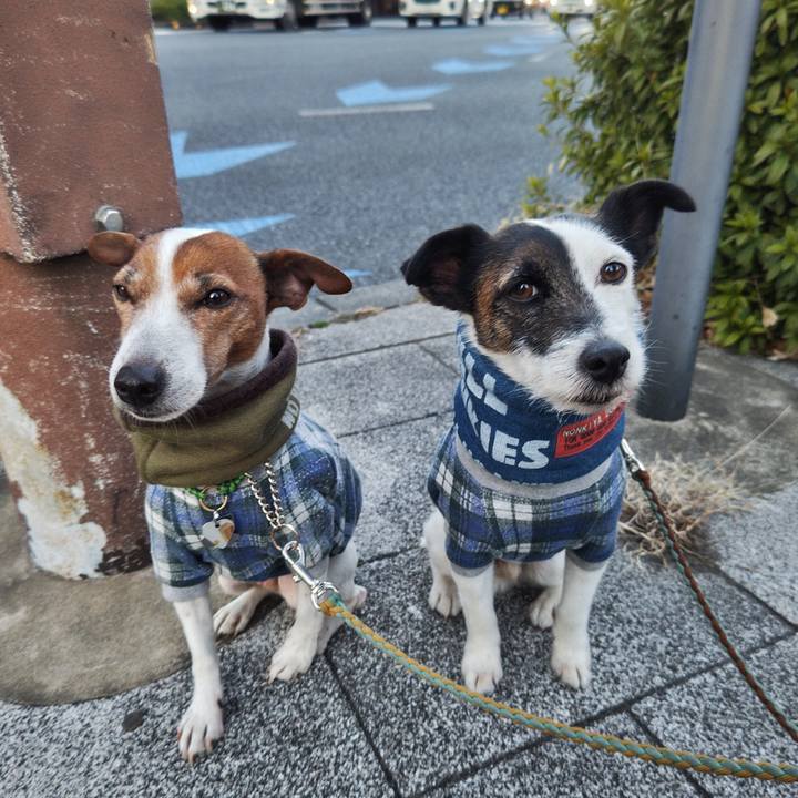 976a80ce 6e1c 46ee ab04 2ed57c1f5556 1739829546922