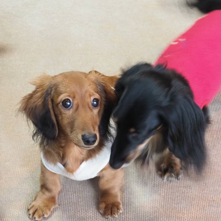 976a8a46 ad94 46d1 aa46 a9dd042fc477 1699271701415