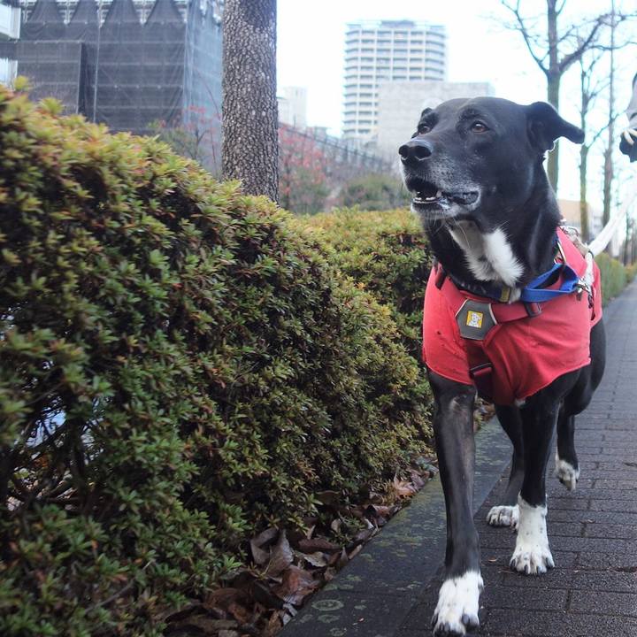 976ae7e9 e893 4a8a 867f 0f7b70077be2 1671326376373