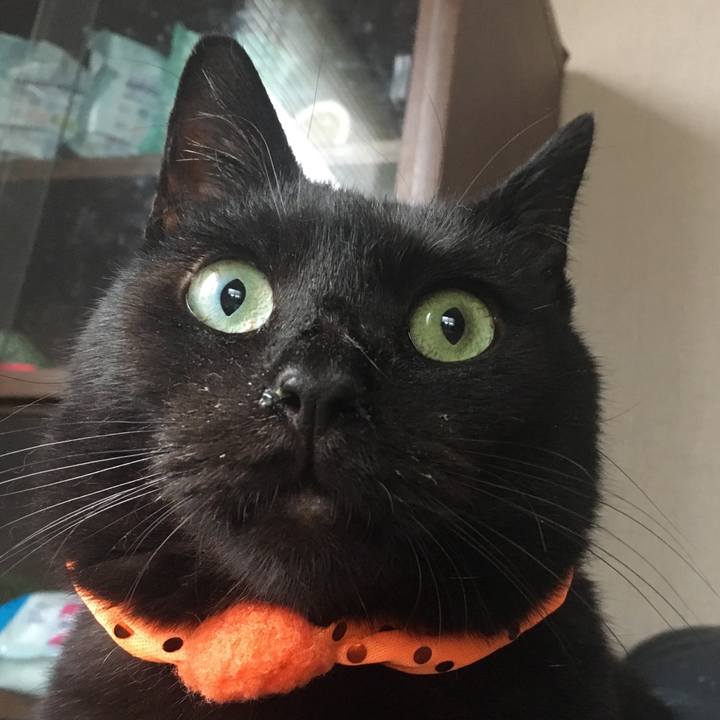 976af5dd e635 4f33 95e2 f393a2dba00e 1538258946932