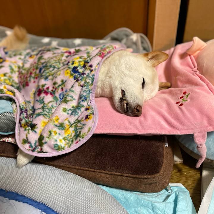 976b6459 e35f 4f14 919b 3a3e7778cce2 1648741862434