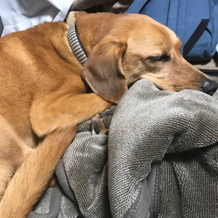 976b97e7 dc86 41d7 9c75 62a49e68776f 1535156802745