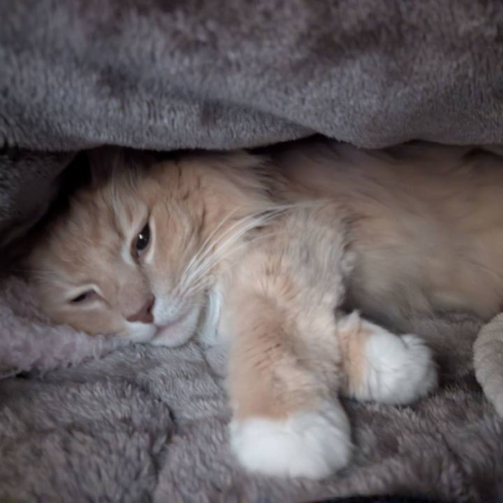 976bb438 7fa4 487e acc5 1e88ed88adb4 1766882977133