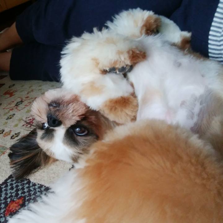 976bd565 d69e 48ee b3cf 7c9e3c4a2712 1568346486344