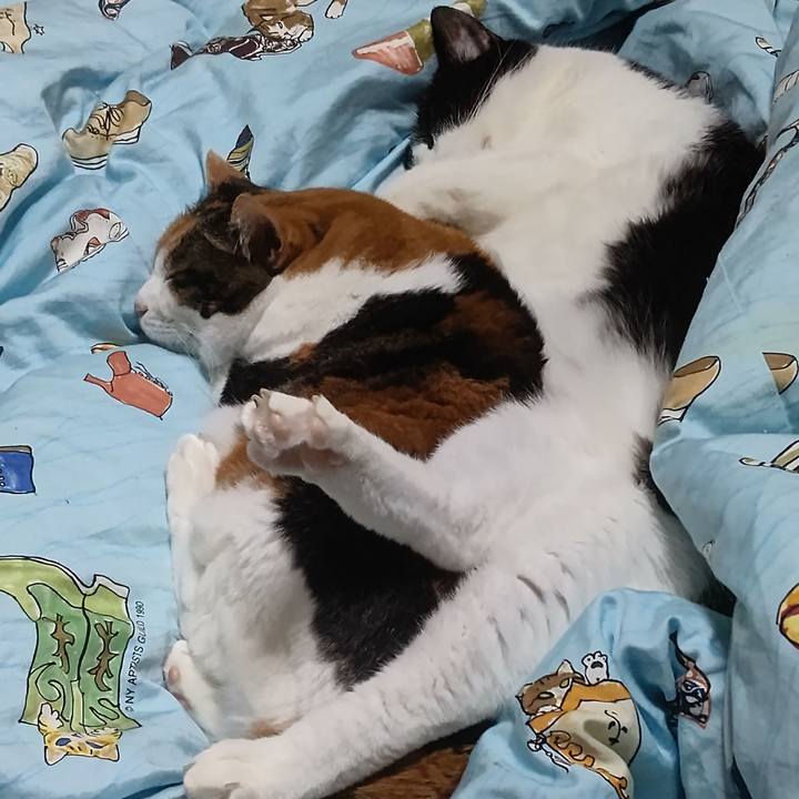 976c1645 13f8 4e30 bda3 d6972d867d69 1636436347309