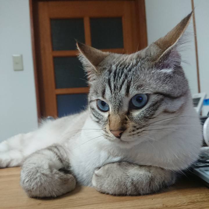 976c32f1 428b 4311 80a6 a8233114cb30 1559558312935