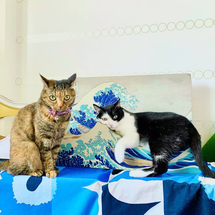 976c57a4 41f6 43f2 9c31 5c48bebbf03b 1627683573725