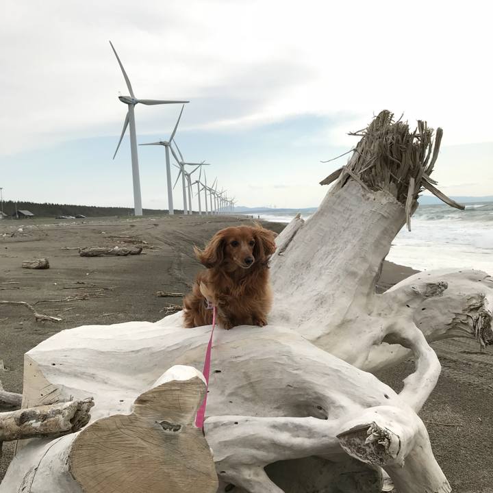 976c5a85 cb6c 46d5 b5e1 f272604957c0 1525527212339