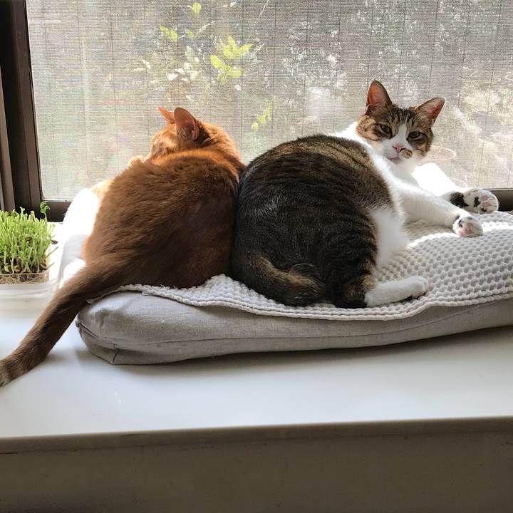 976c6818 268d 4d1a bebc ab9e5b64e894 1521094365148