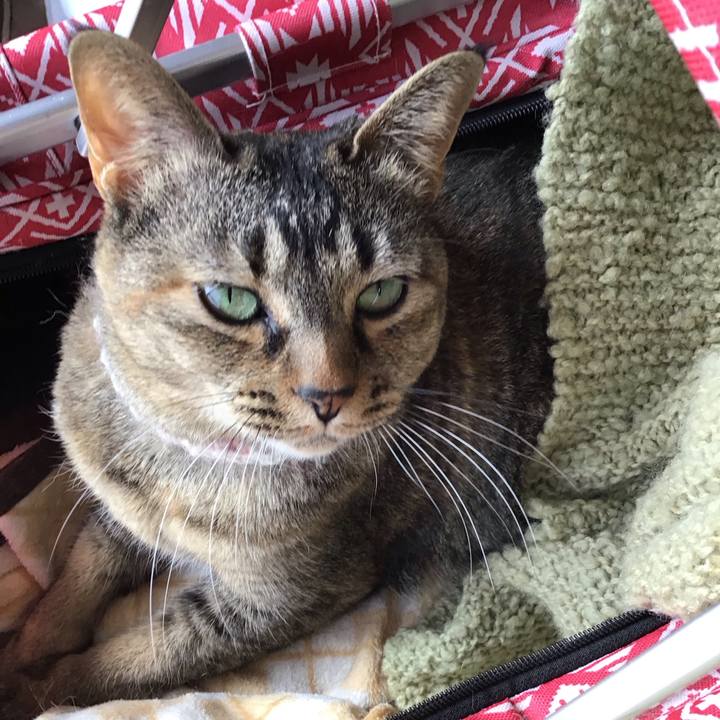 976c690f 4a0e 4830 85e9 ac8abe2a982f 1712820983659