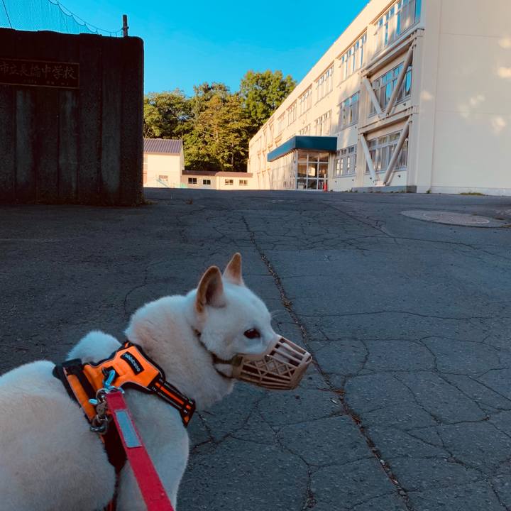 976c70de 1e2a 4a59 947c ec4e8d8b58ff 1626640594341