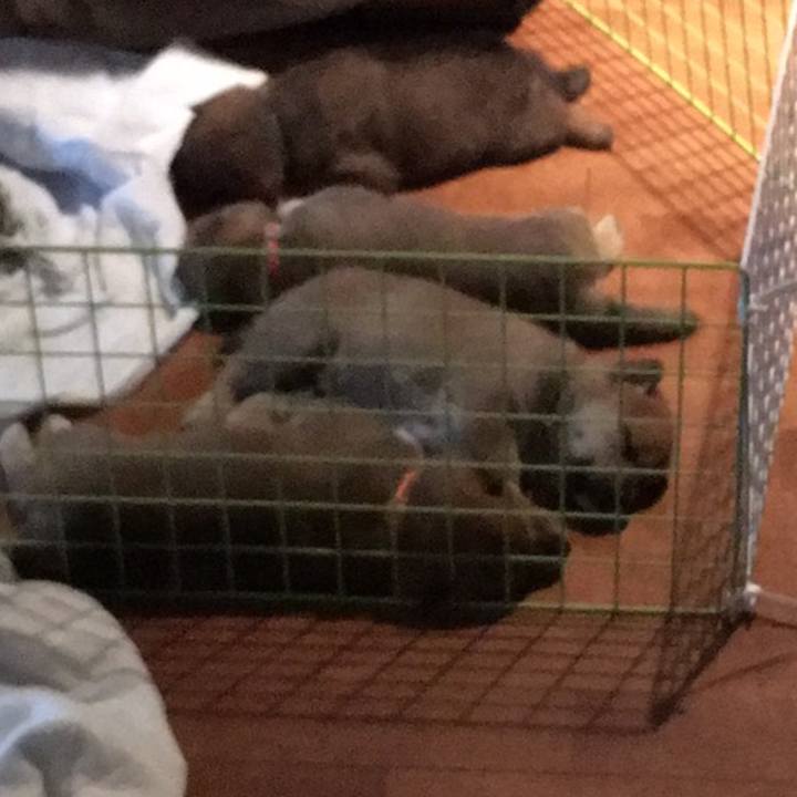 976c9c44 2d58 442b 8ad1 6196d6e168bb 1600178294967