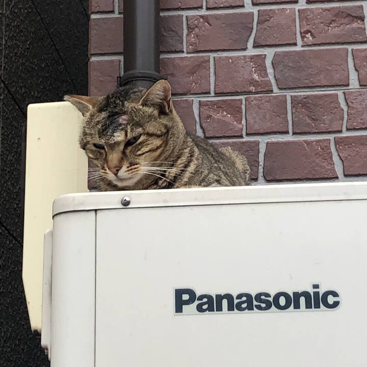 976cdc70 ba92 45f4 9e8a 3dc21f149055 1575206679982