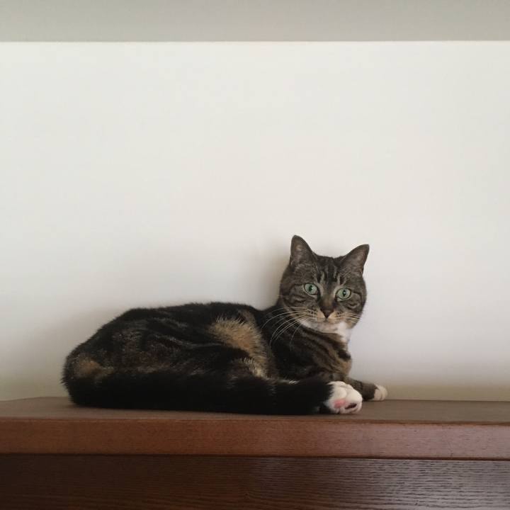 976ceef4 f612 4ce3 a3b5 56d7c1eebaad 1527393067734