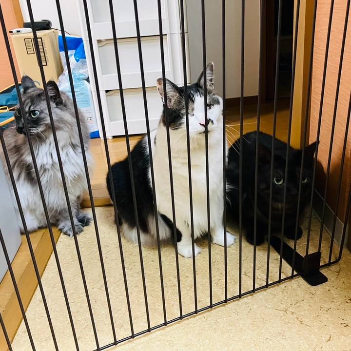 976cf5cb 15ac 41a0 b228 a7a3d4d68de5 1742430165740