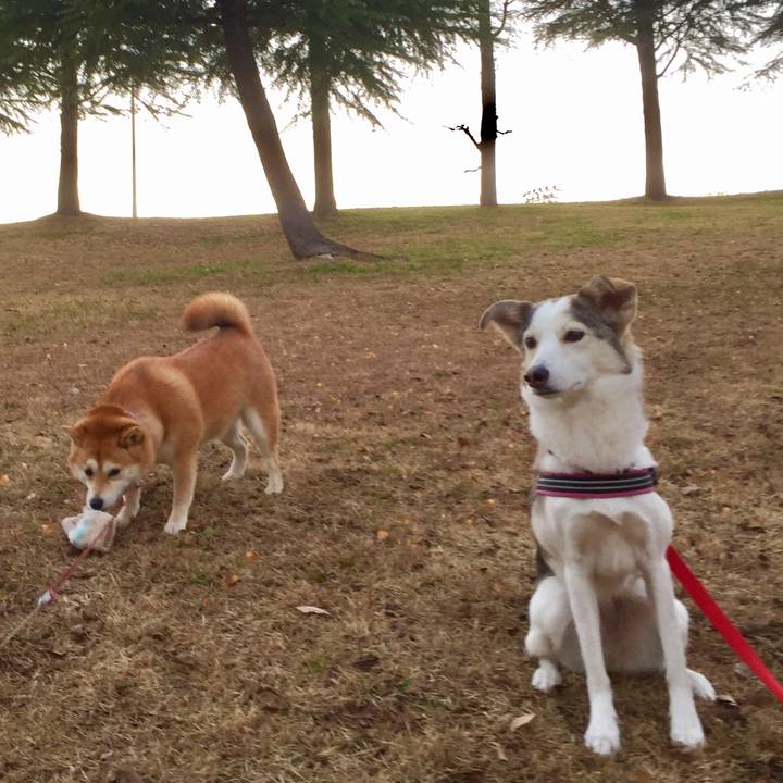 976d159e d9b1 4818 b74f d8209a59a8e0 1514029702939