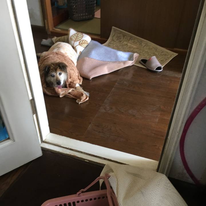 976d40b8 846a 431b 813d 422dd06ebb85 1620342552952