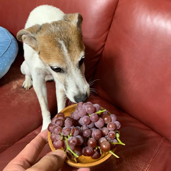 976d7ff1 59e4 471a 941c b97319947c0f 1628680766003