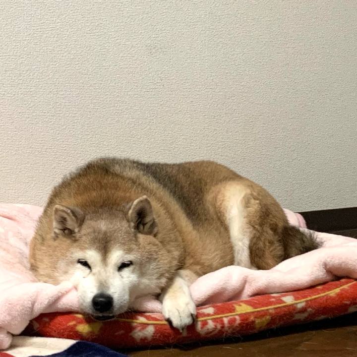 976dbe60 53d6 40c3 be5f 71fe59954d86 1640697065047