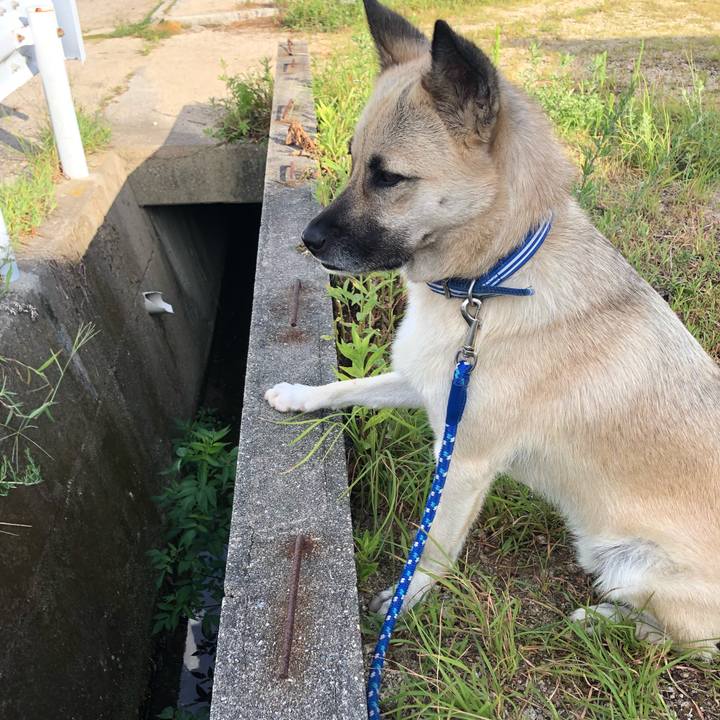 976dcefe 6bf0 45d1 91cd 70dcf731da00 1534509432002