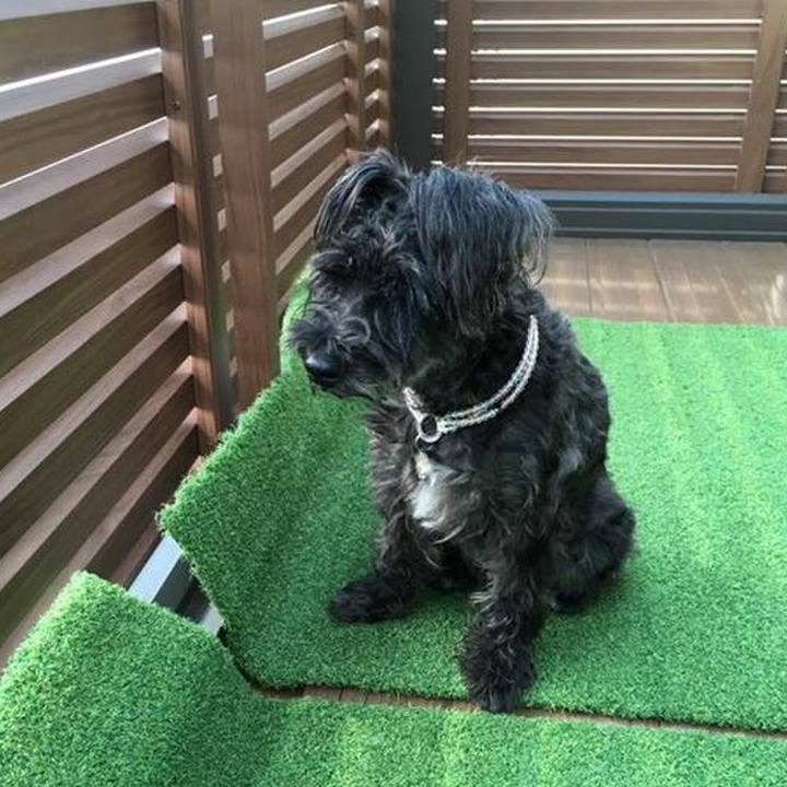 976de256 3db2 44fd bc2a c39bdf749921 1539923036993