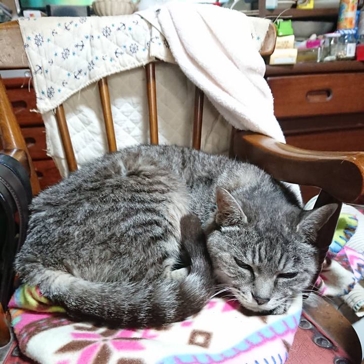 976e0737 c420 4576 a417 57a7f8a83cad 1572136031534