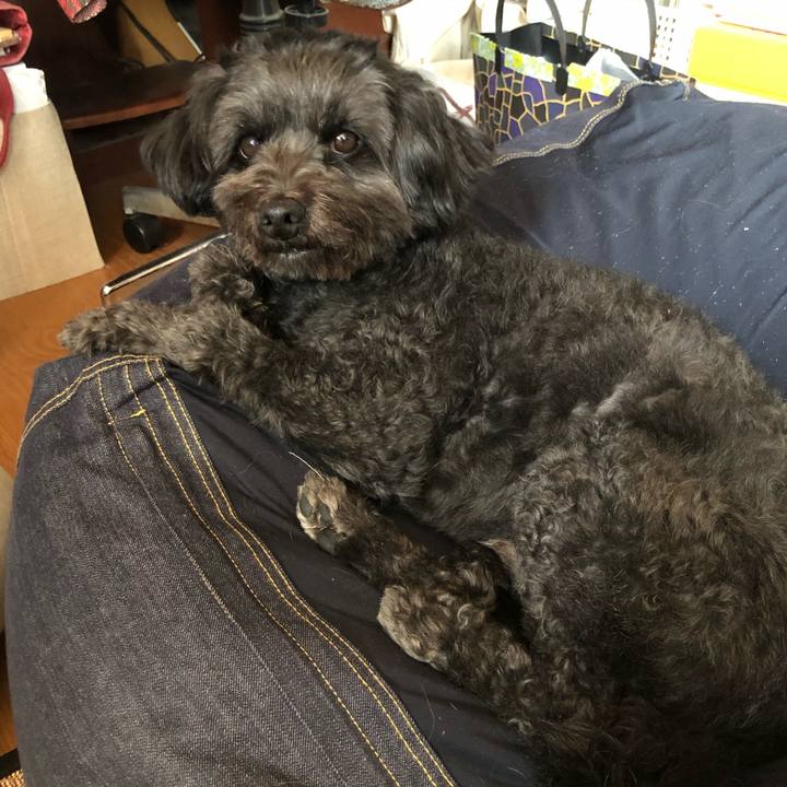 976e475e f1ce 4e58 9195 baedc4e621cb 1550482546781