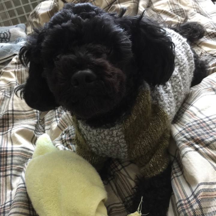 976e67bf 978e 49b1 8d2f 8c4c03729a97 1515831180041