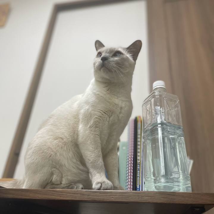 976e6fb9 e87f 468b b736 442c373e3656 1737853934577