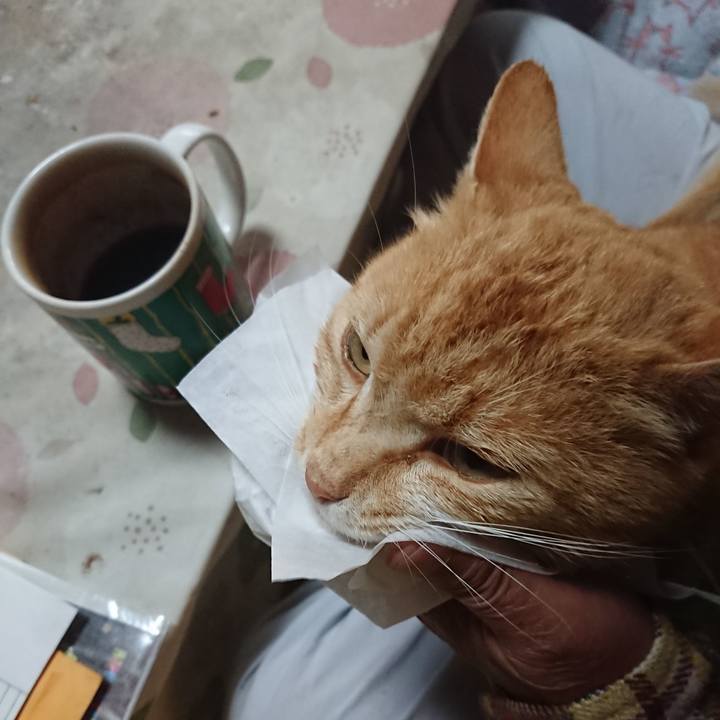 976e85df e3ec 4d5c a152 45e69a2efe5e 1589316256218