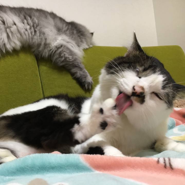 976ea3a7 df6e 44d8 939a 0b087454a187 1509023427003