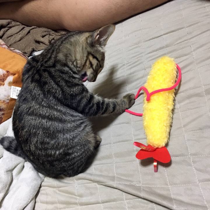 976eaa15 b167 4537 902b c4ab49aec5a7 1537756137231