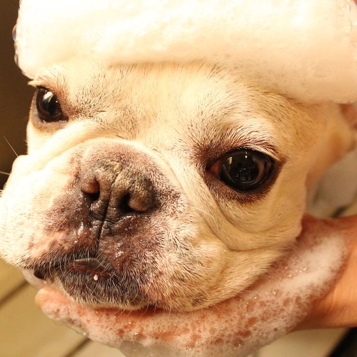 976f5201 3317 4c6e b3e5 723d0cc2df0d 1550804002105