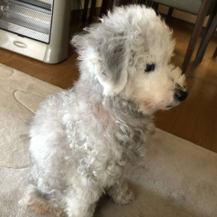 976f795f 4de5 4f89 9e6e 3adae632933f 1650840721875