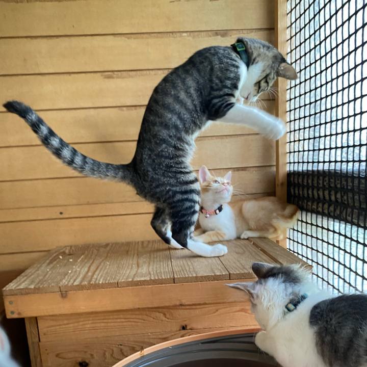 976f7983 6634 4785 a14f 61bd0482ea2d 1631762319420