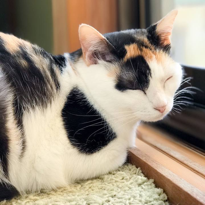 976f7b41 1e95 4a66 90f8 4f685a7add39 1533219501766