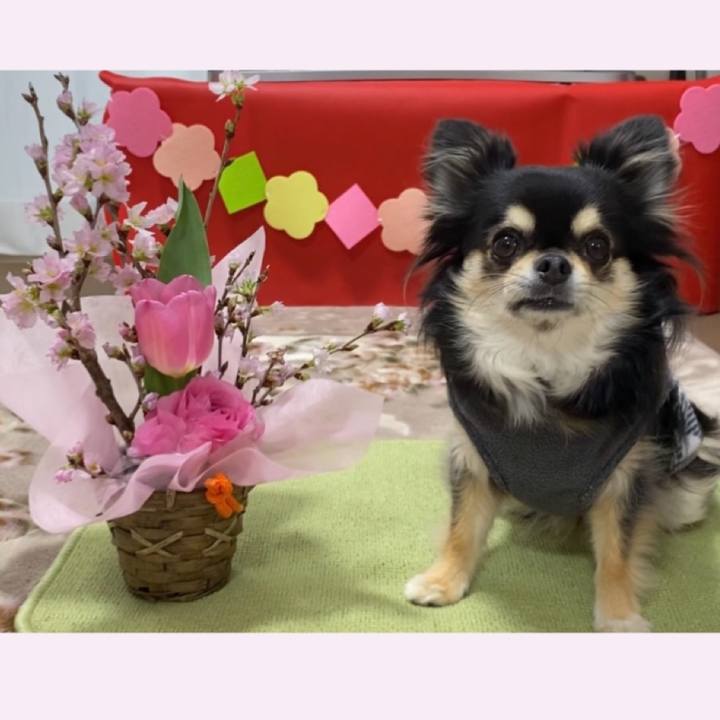 976f7c58 256d 4413 868f 70c099fbda64 1644108144757